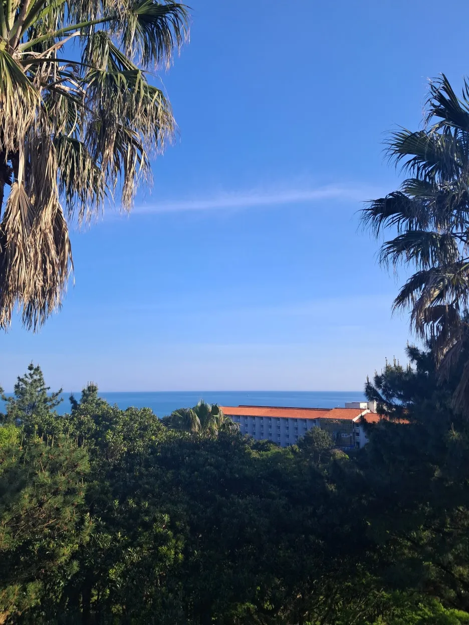 KakaoTalk_20250506_165458741.jpg?type=w1