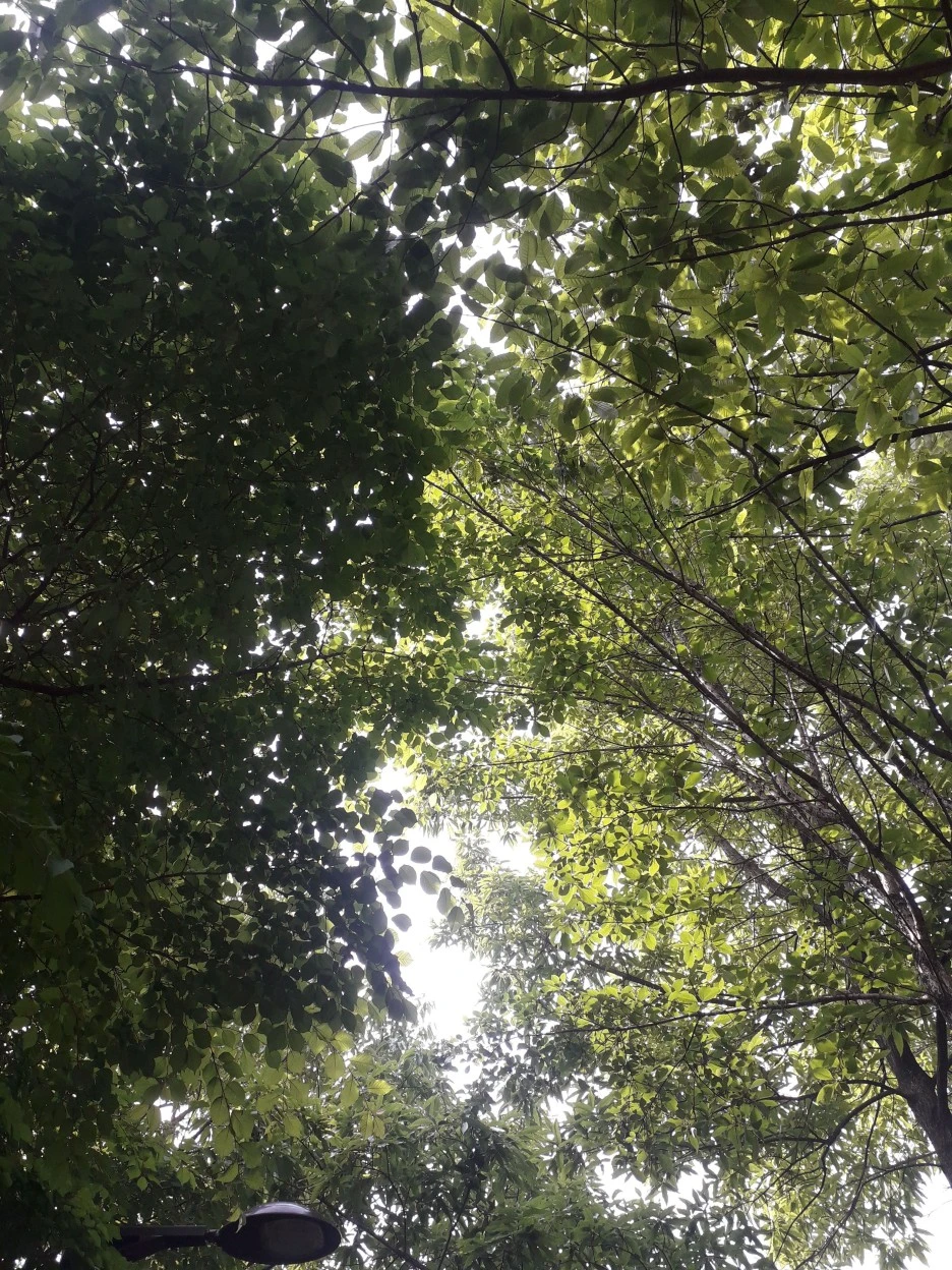 20230510_093245.jpg?type=w1