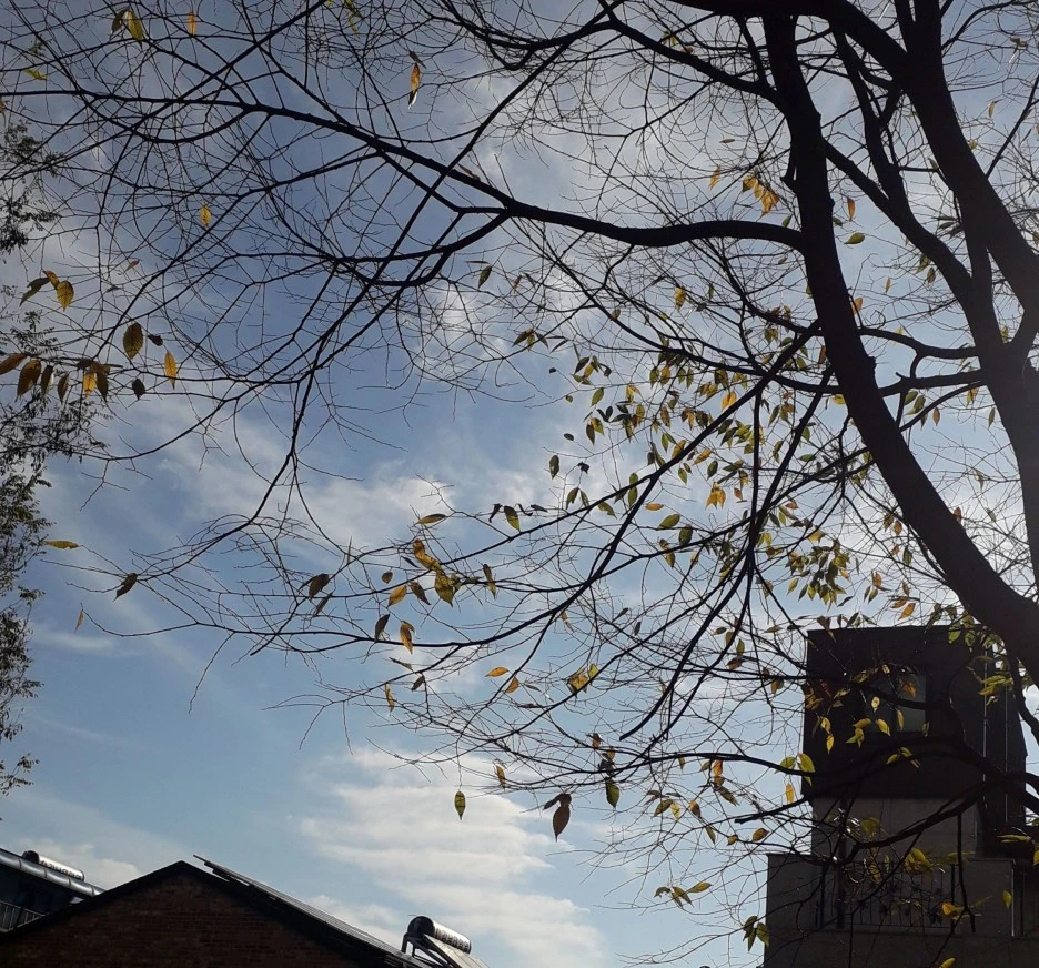 SE-3f480dd8-5ab5-4e3f-9fbb-129f906bcea2.jpg?type=w1