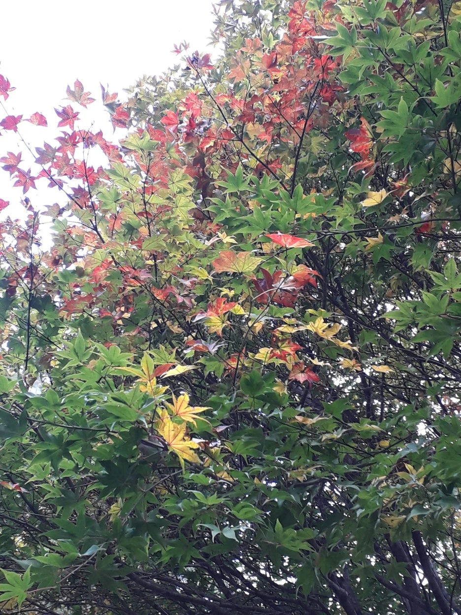 20231110_095538.jpg?type=w1