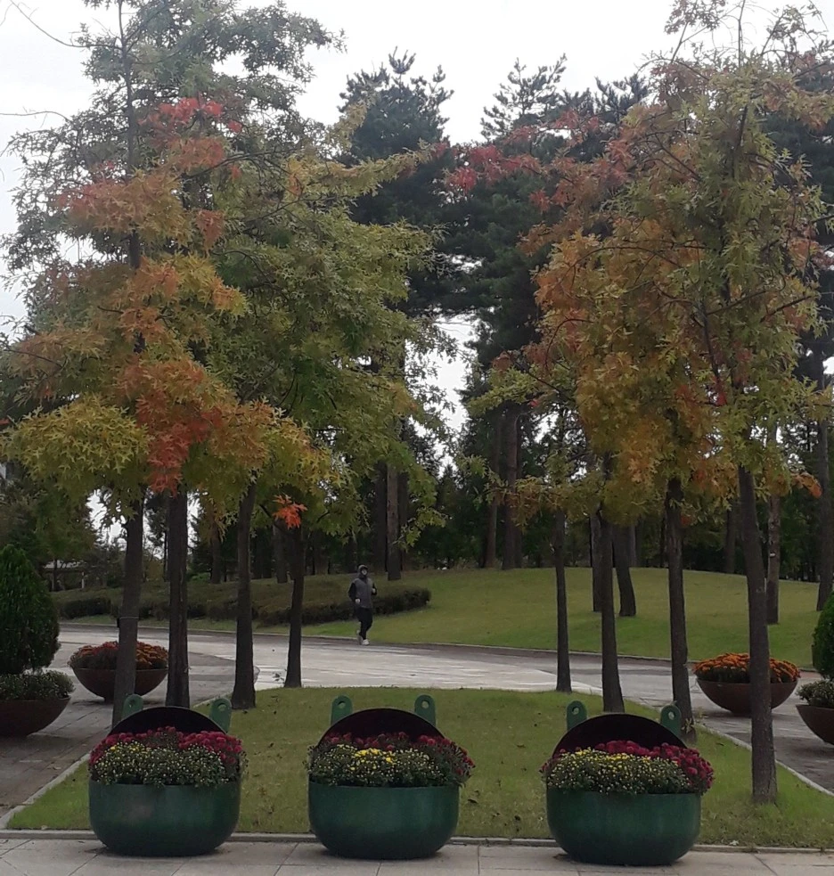 SE-55cefd02-2a96-4c42-86d6-a52e68300e5d.jpg?type=w1