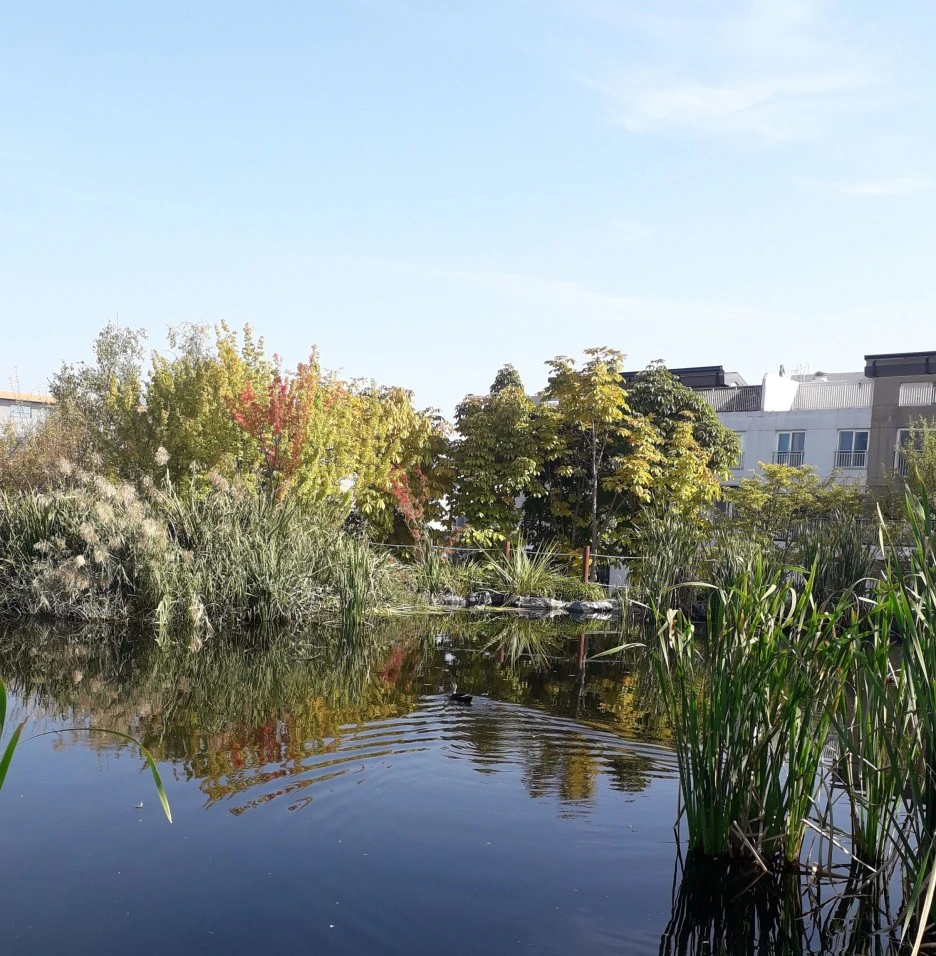 SE-f35833d0-9583-4881-9df8-23c8c3a1ae05.jpg?type=w1