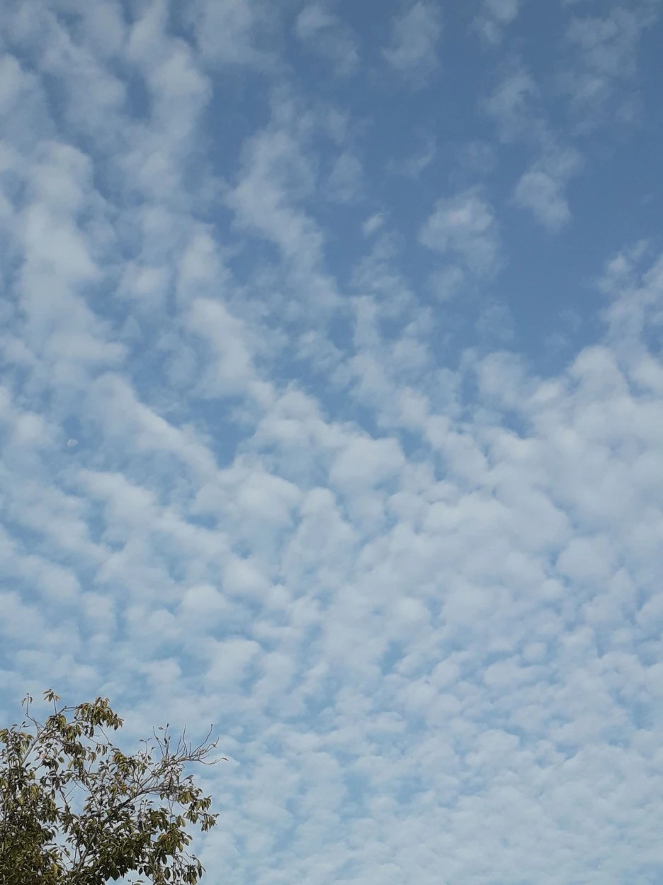 20221015_081043.jpg?type=w1