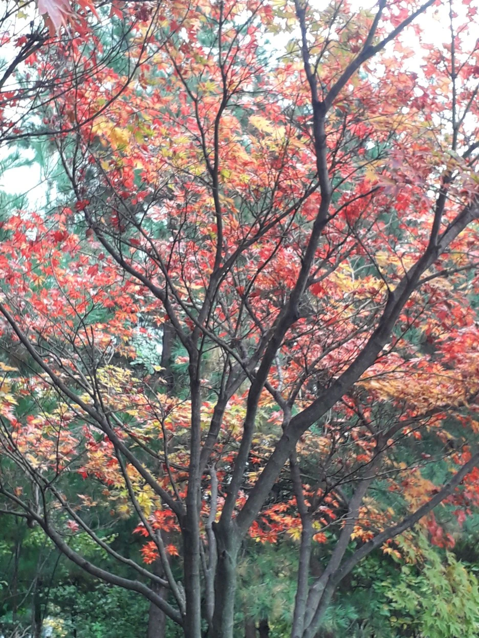 20231101_094844.jpg?type=w1