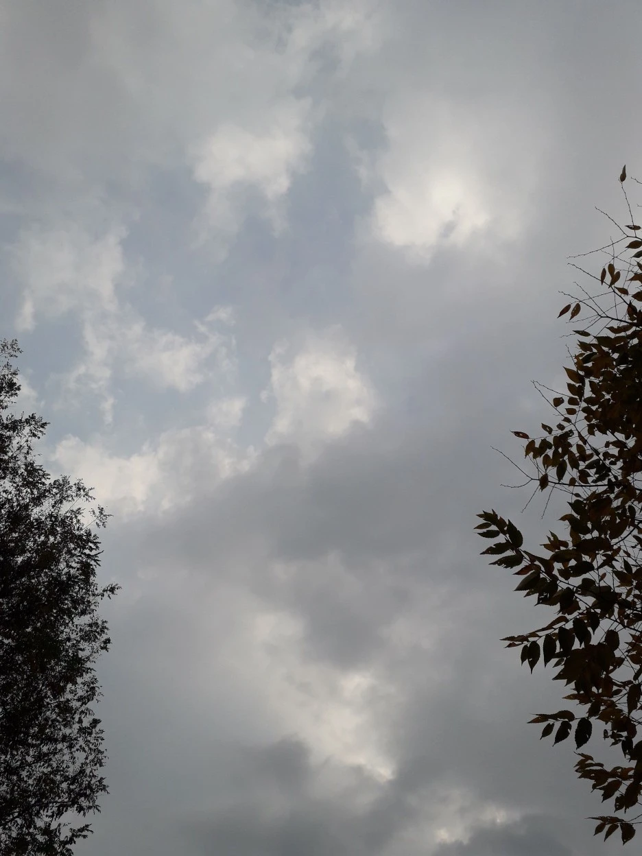 20231103_095051.jpg?type=w1