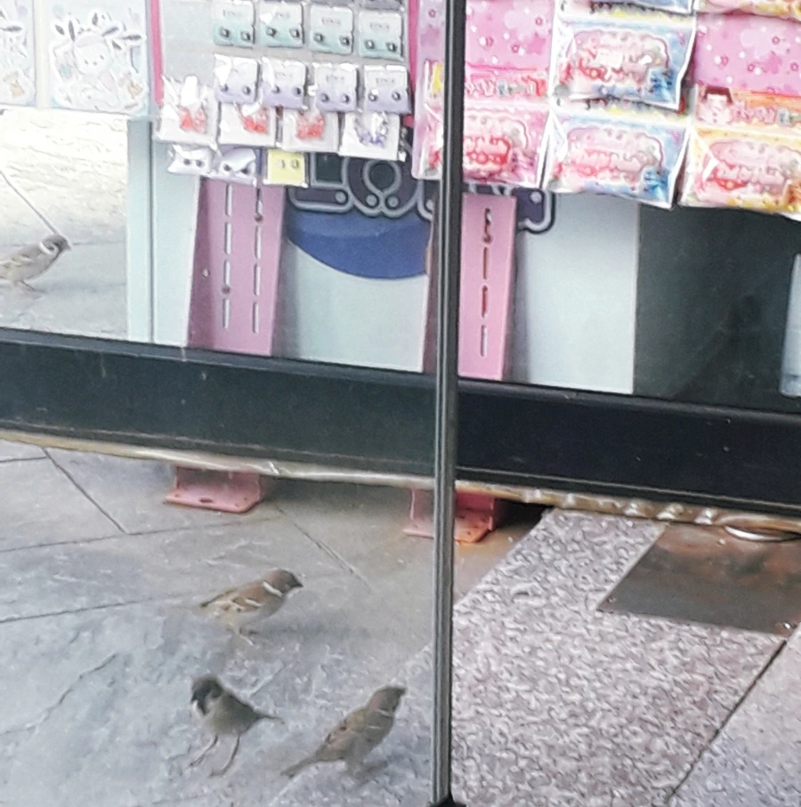 SE-38293049-037e-11ee-bc5b-73f1cd0ee5df.jpg?type=w1