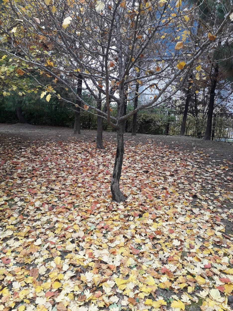 20231101_094206.jpg?type=w1