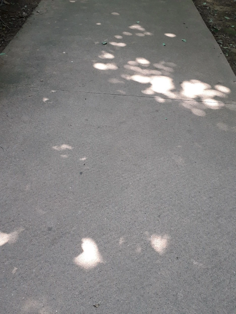 20230613_094911.jpg?type=w1