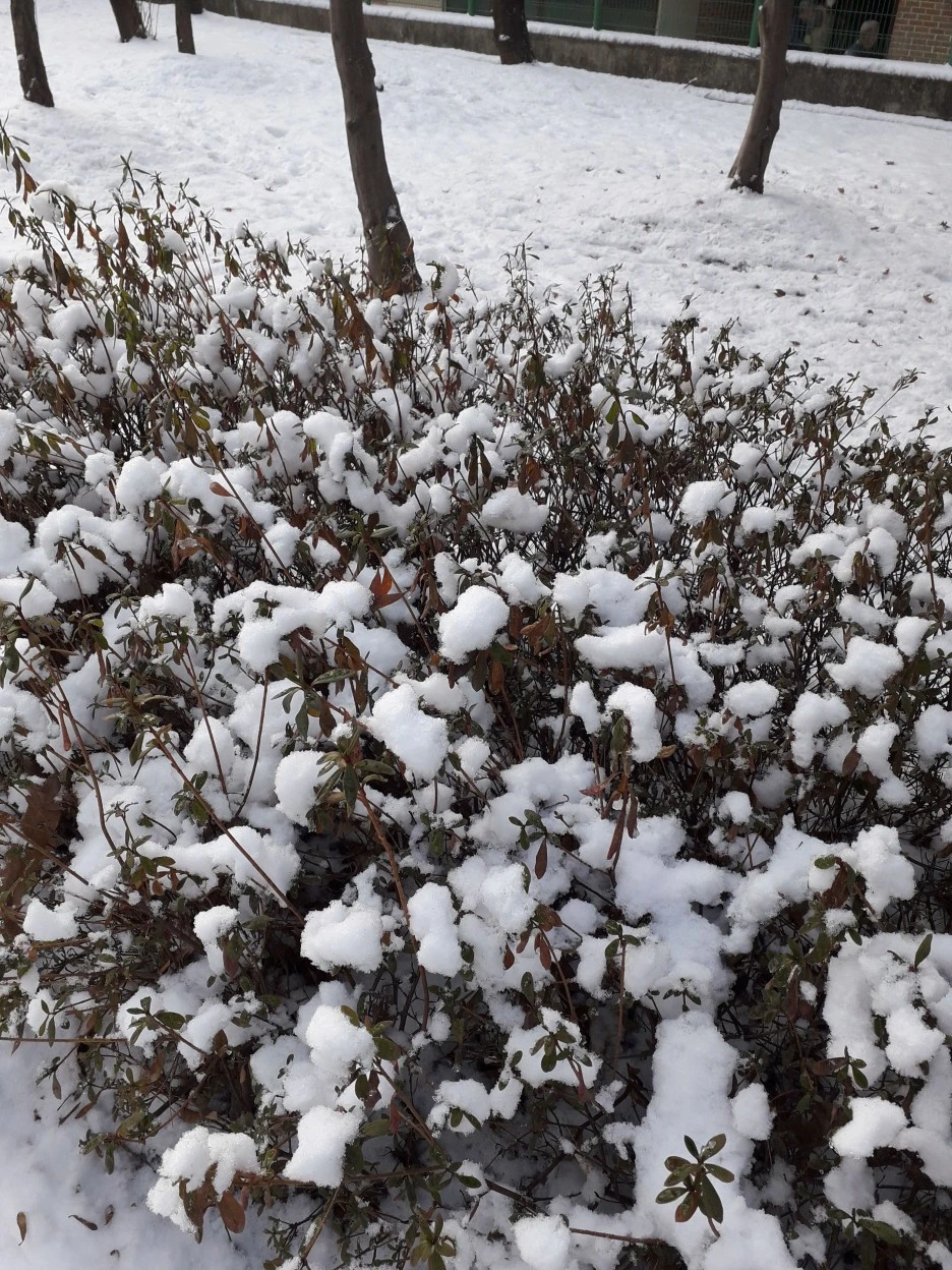 20221216_092302.jpg?type=w1