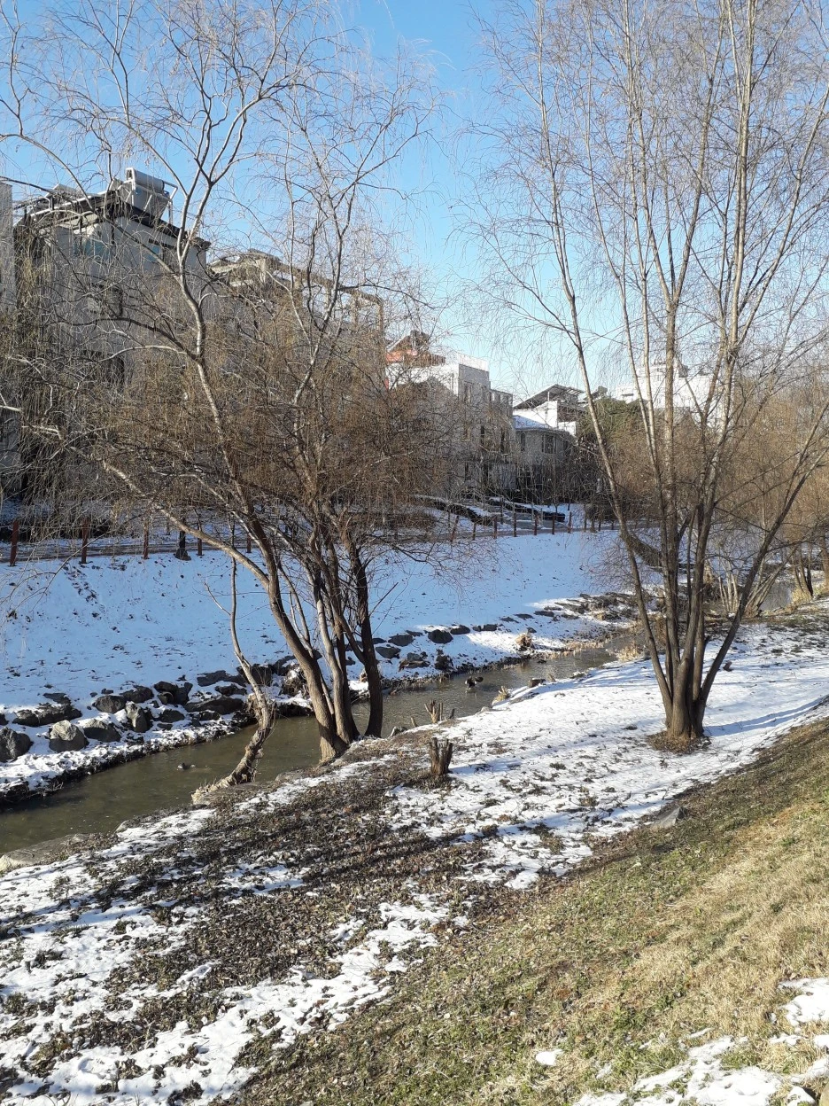 20231222_095930.jpg?type=w1