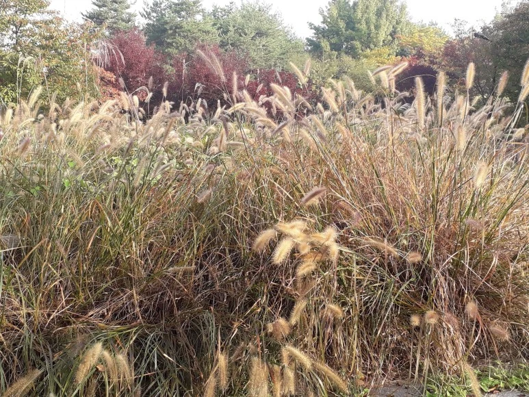 20221015_081139.jpg?typew773