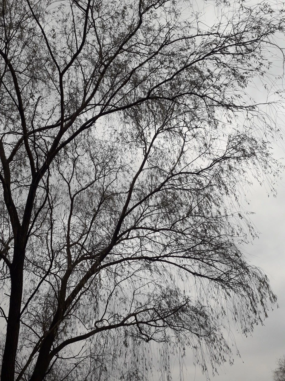 20231202_094838.jpg?type=w1