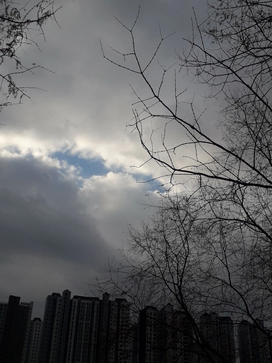 20231202_095108.jpg?type=w1