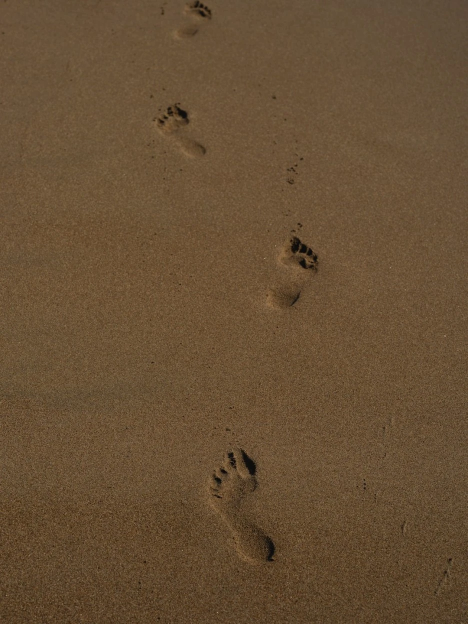 photo-1671530469002-f489dcdc1557.jpg?type=w1