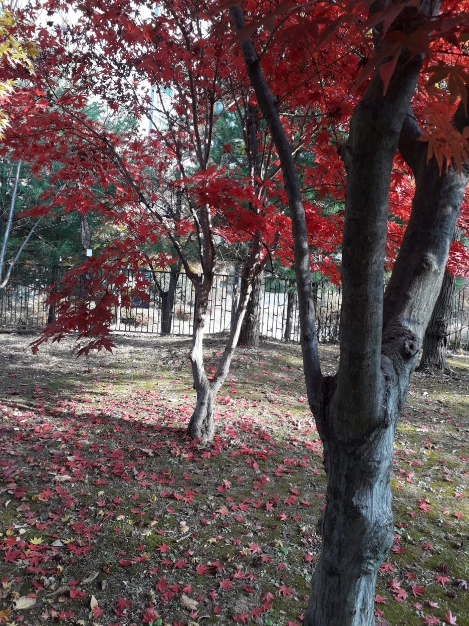 20221111_092721.jpg?type=w1