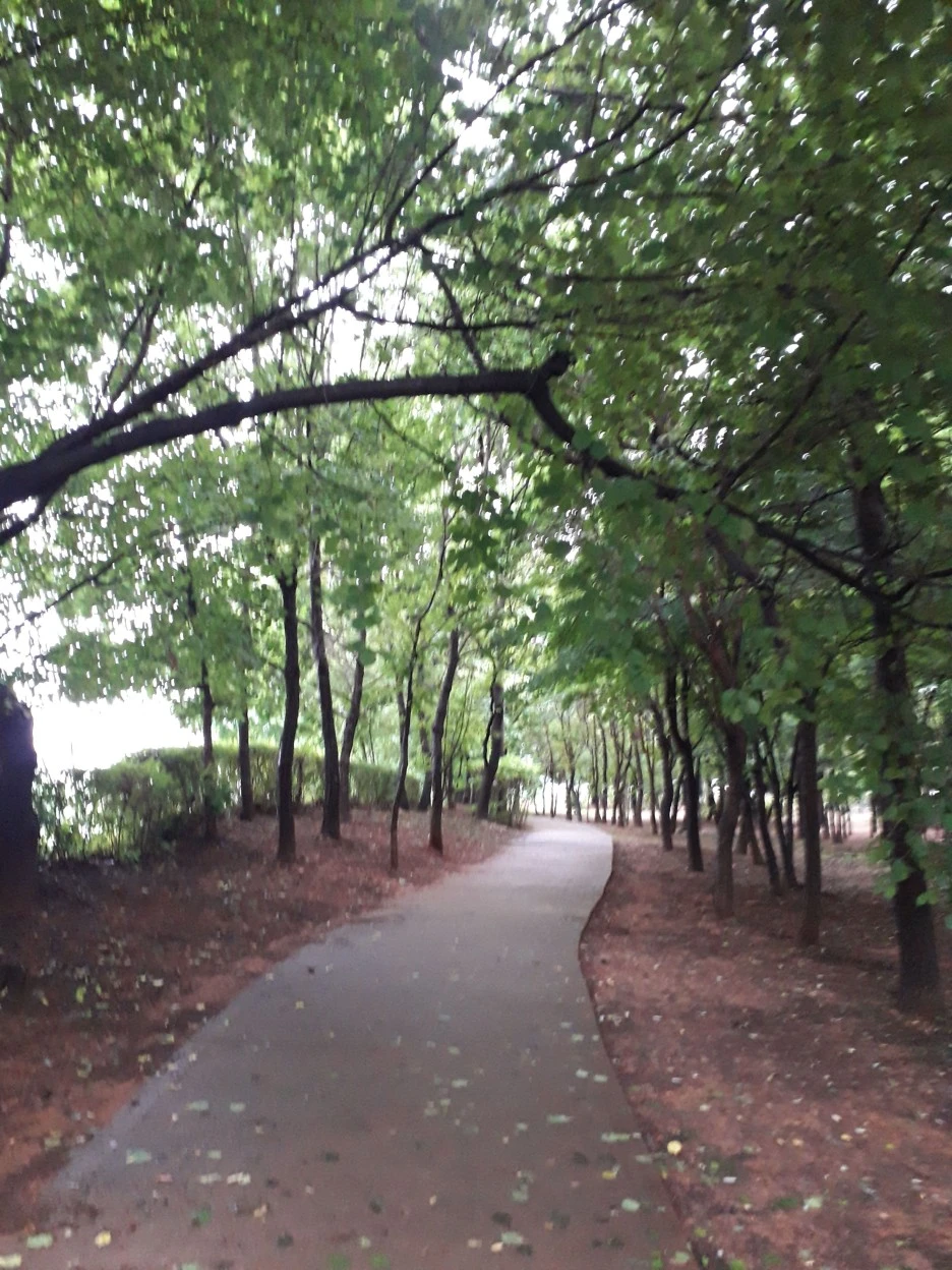 20230714_095529.jpg?type=w1