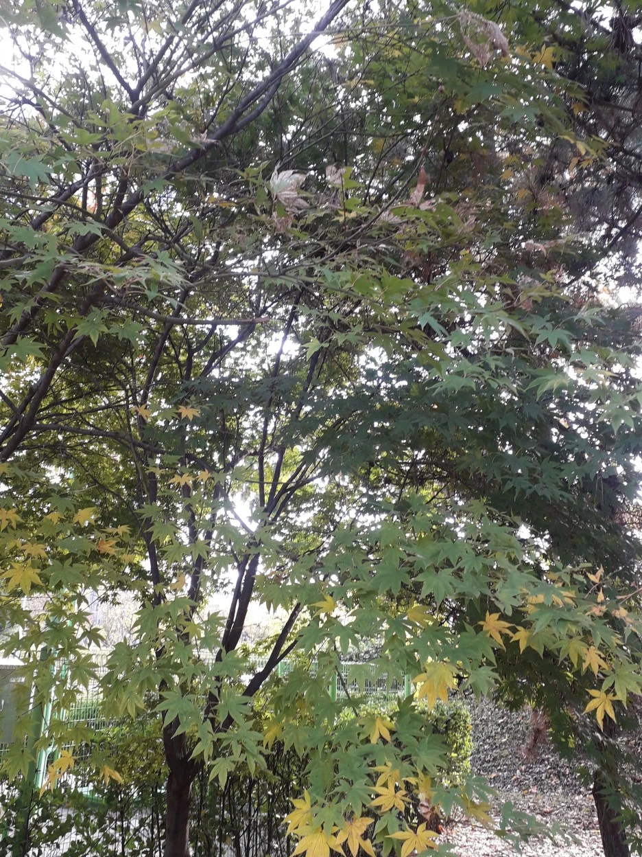 20231110_093344.jpg?type=w1