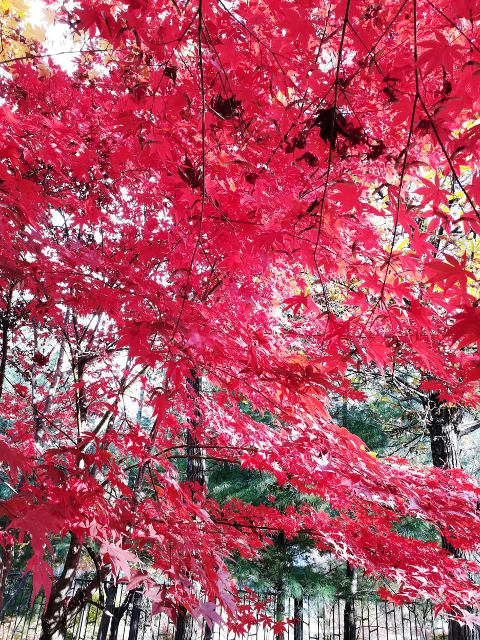 SE-c9d5a5ea-1a41-41a0-8f46-1da18052036e.jpg?type=w1