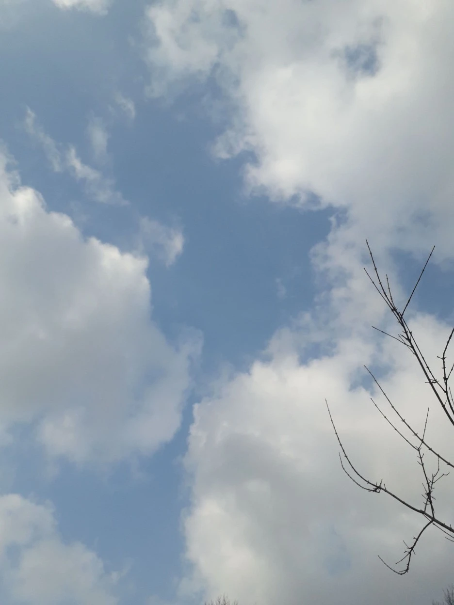 20221209_095315.jpg?type=w1