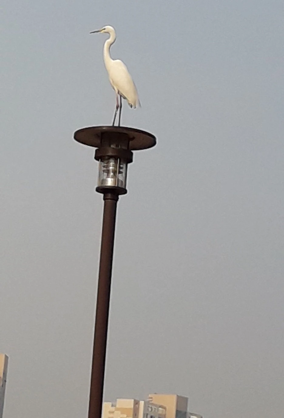 SE-2481630f-2c16-4c5d-966f-3a4af4736e11.jpg?type=w1