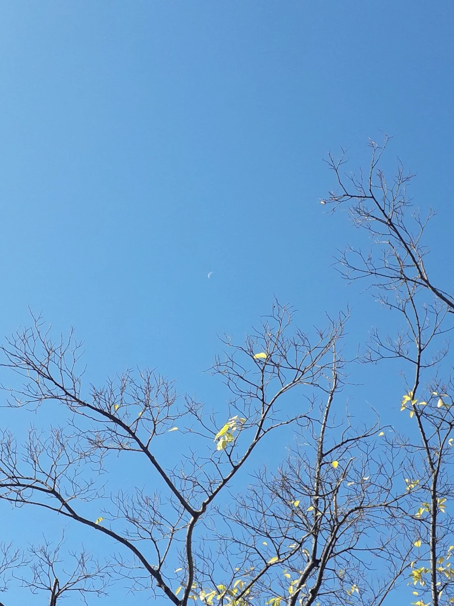 20231107_095640.jpg?type=w1