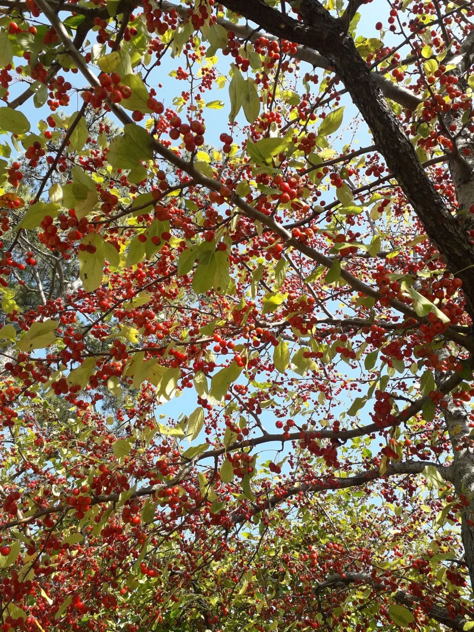 20231012_095353.jpg?type=w1