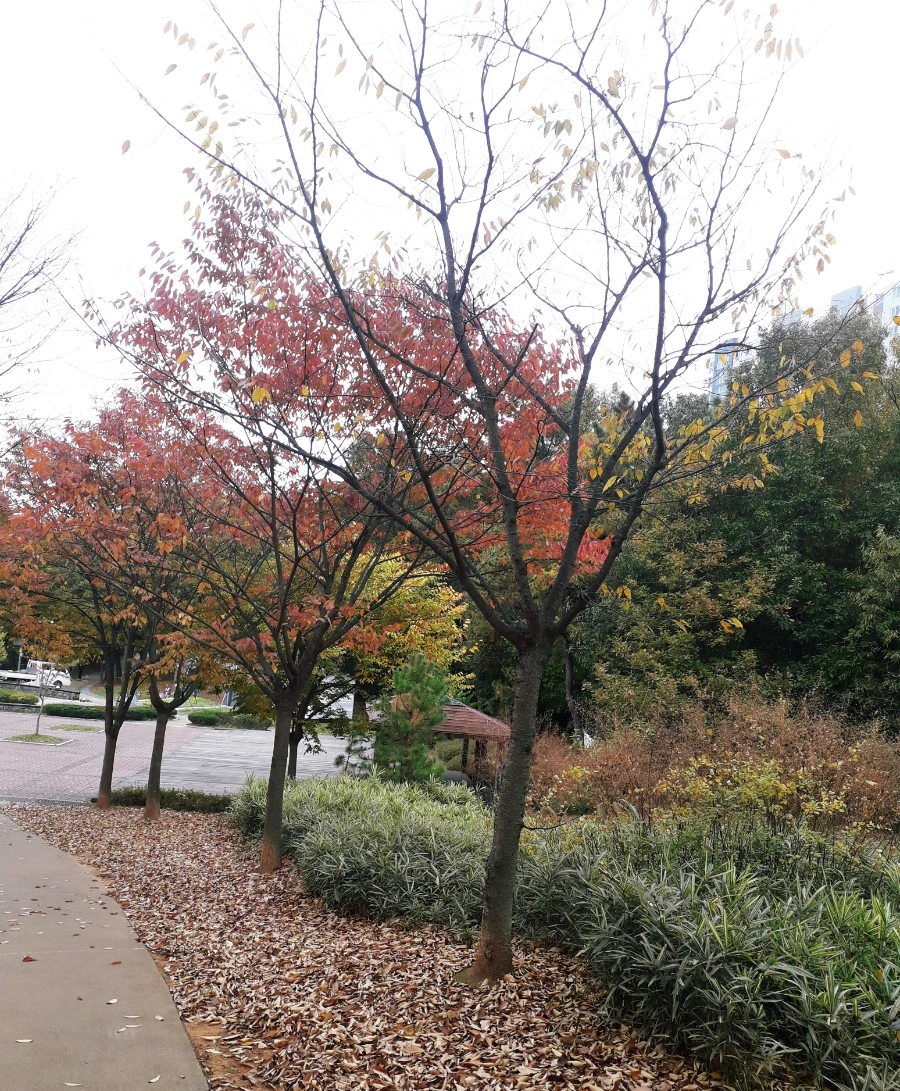 SE-428add22-7a16-11ee-805e-27cde1b8097d.jpg?type=w1