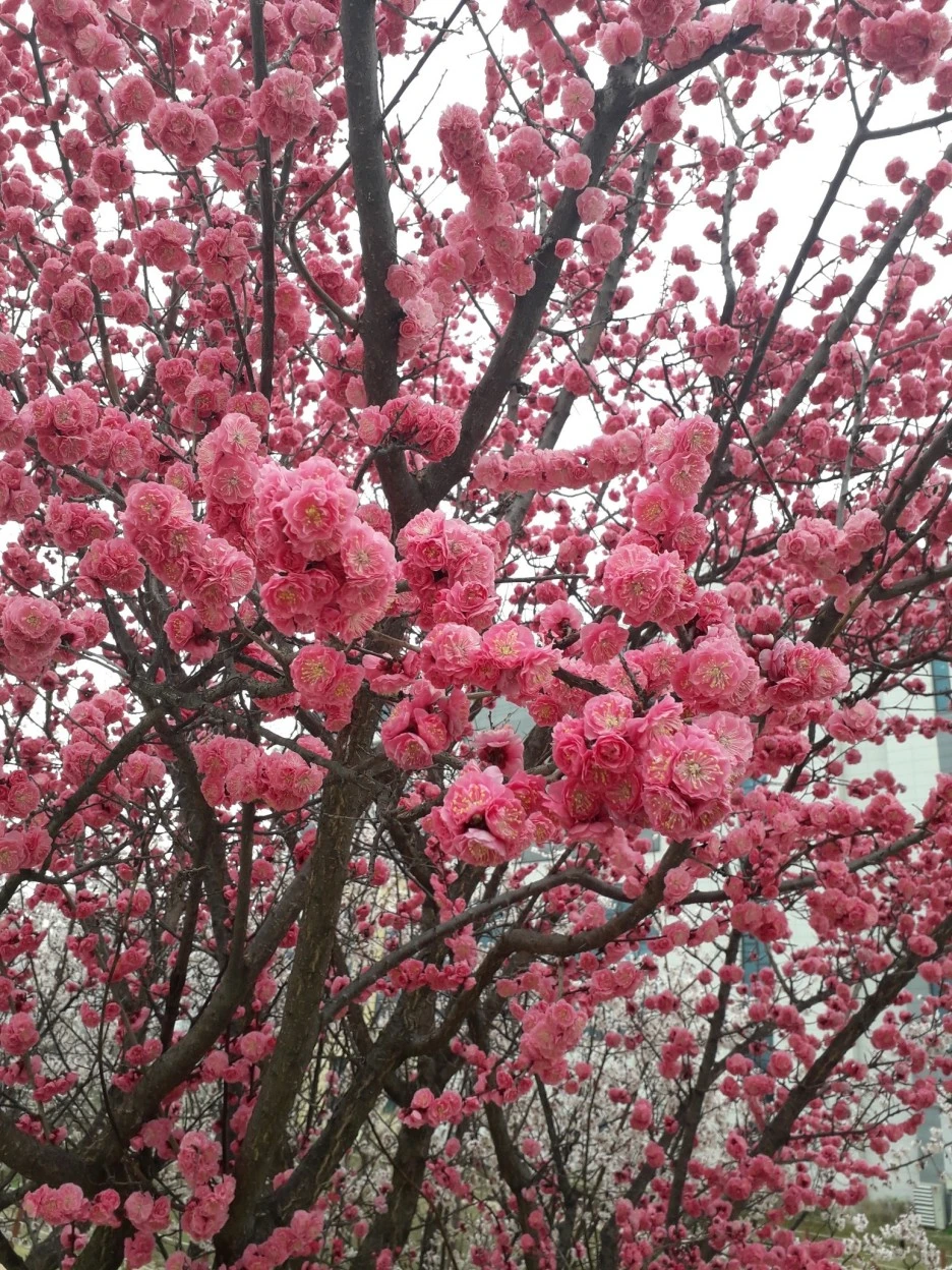 20210327_092750.jpg?type=w1