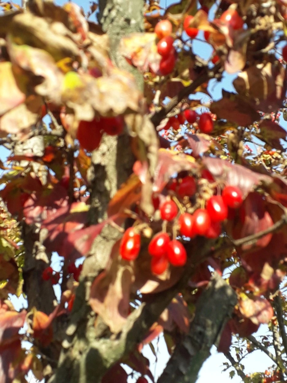 20231028_101222.jpg?type=w1