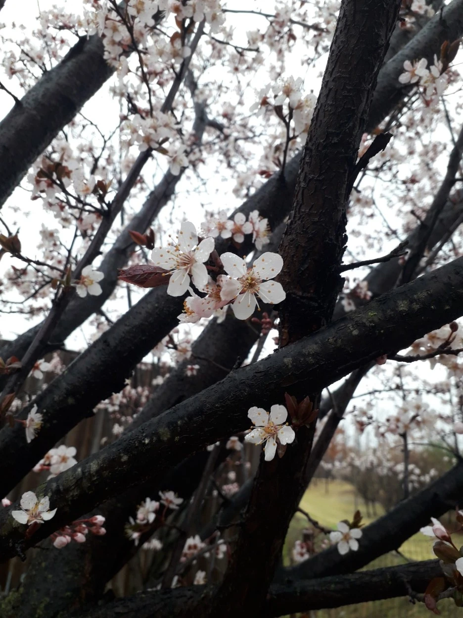 20210328_094152.jpg?type=w1