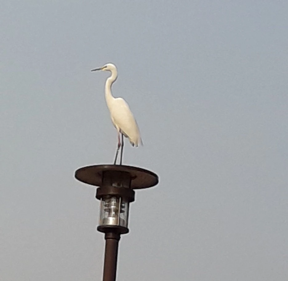 SE-020a91f9-ed64-4737-a97d-f572f25befea.jpg?type=w1