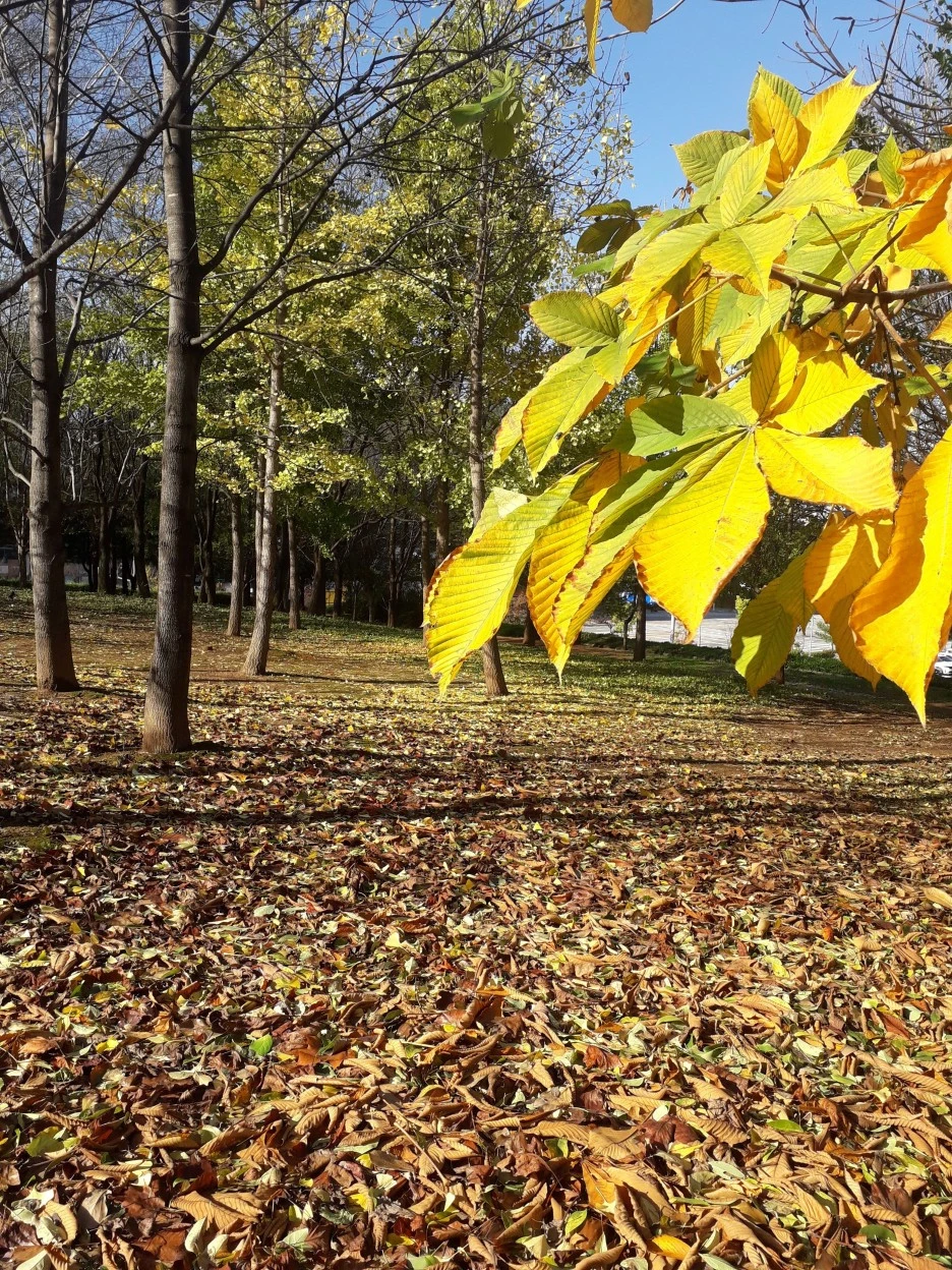 20231107_100159.jpg?type=w1