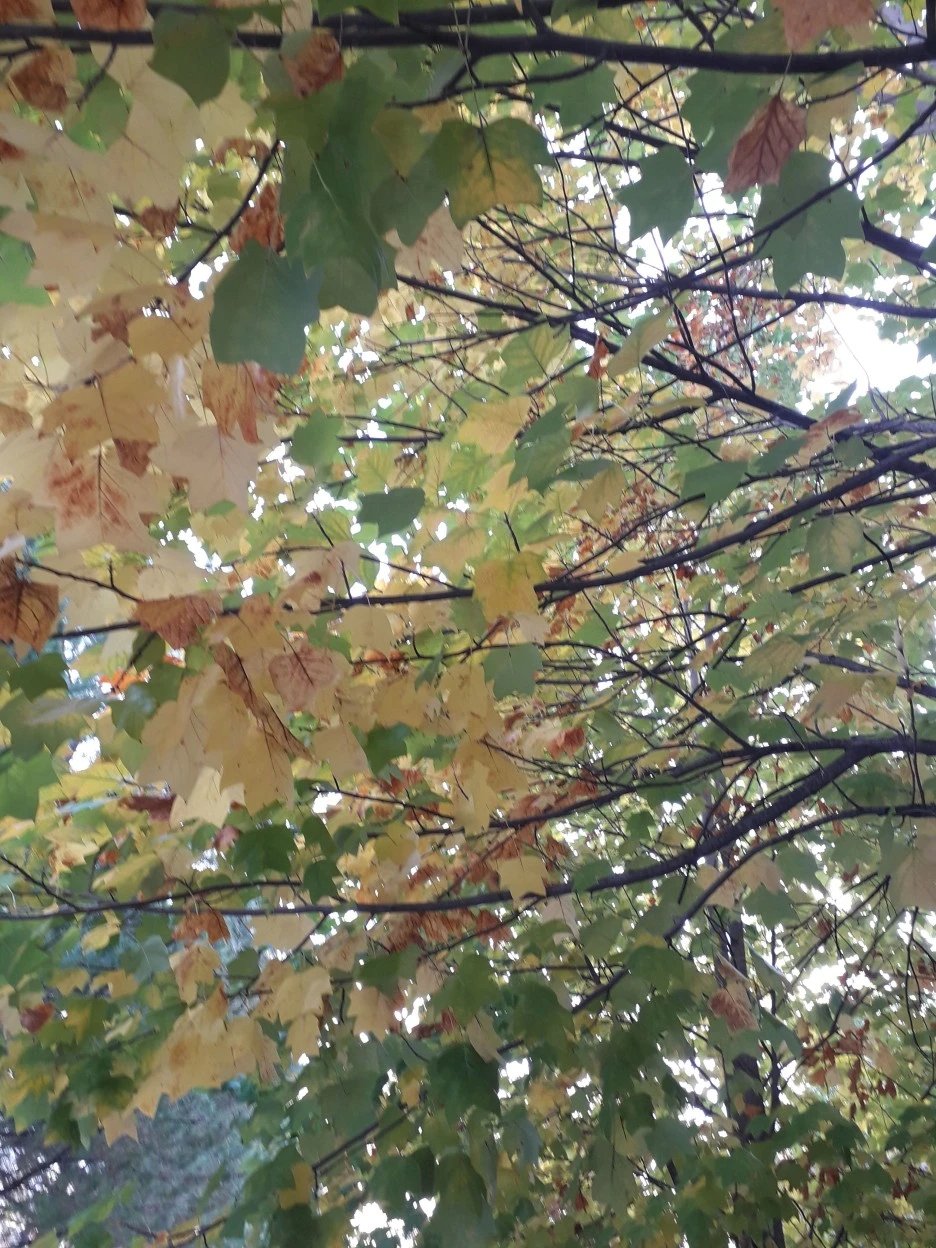 20221021_093247.jpg?type=w1