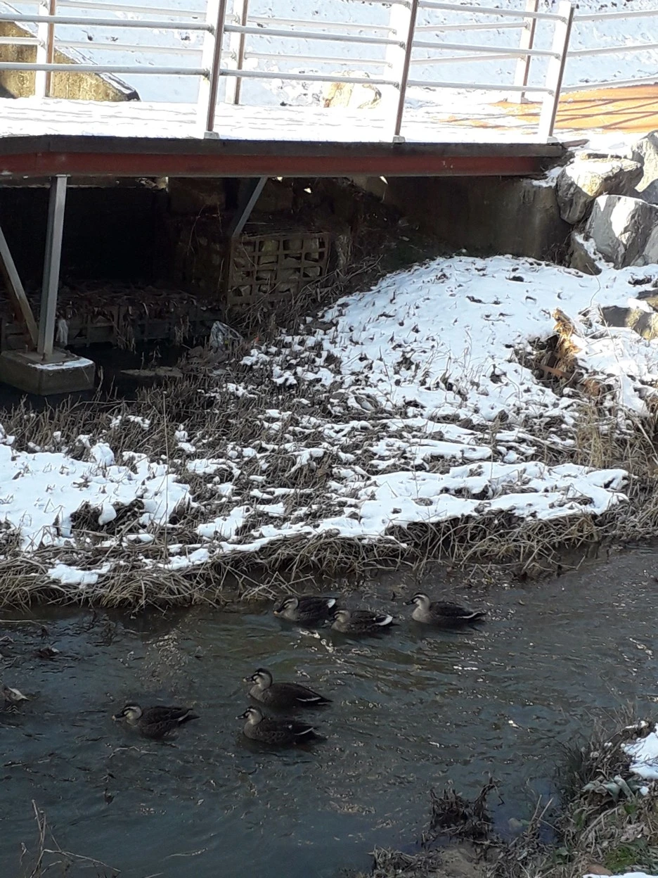 20231221_093347.jpg?type=w1