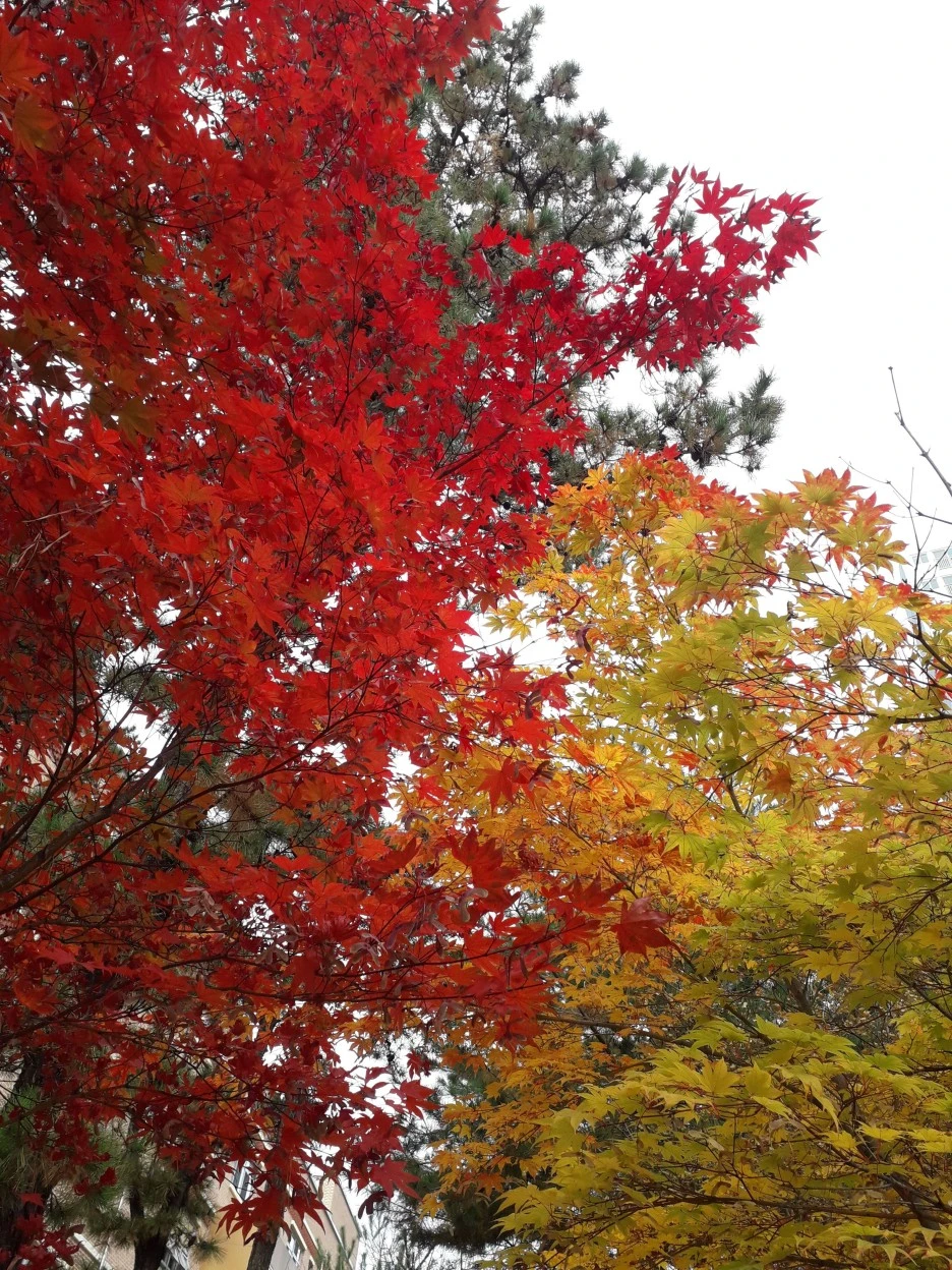 20221108_095442.jpg?type=w1