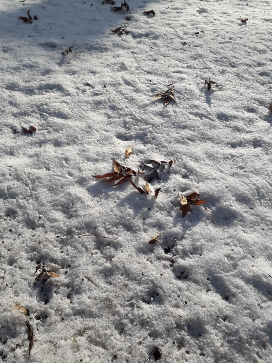 20221214_095055.jpg?type=w1