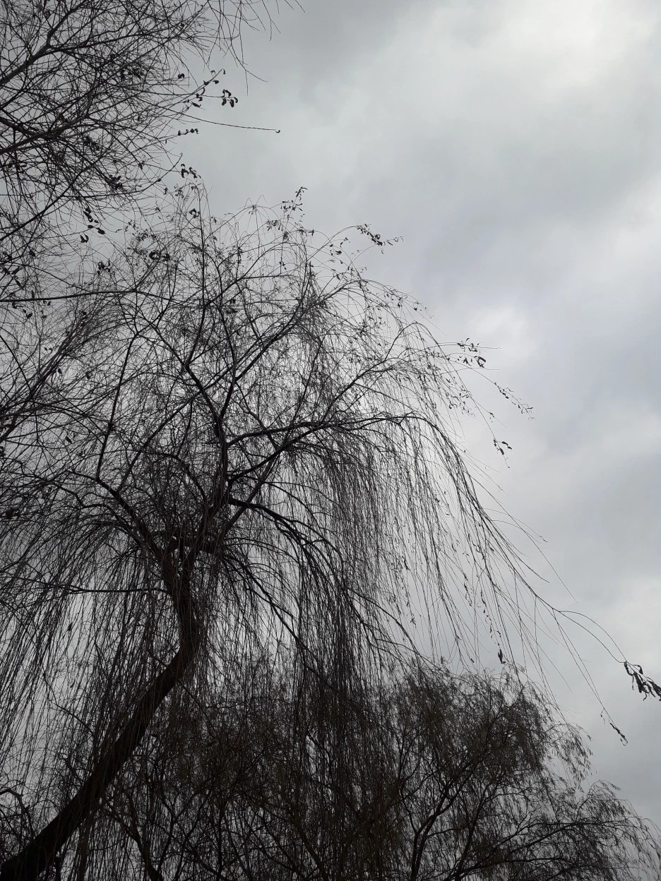 20231202_094813.jpg?type=w1