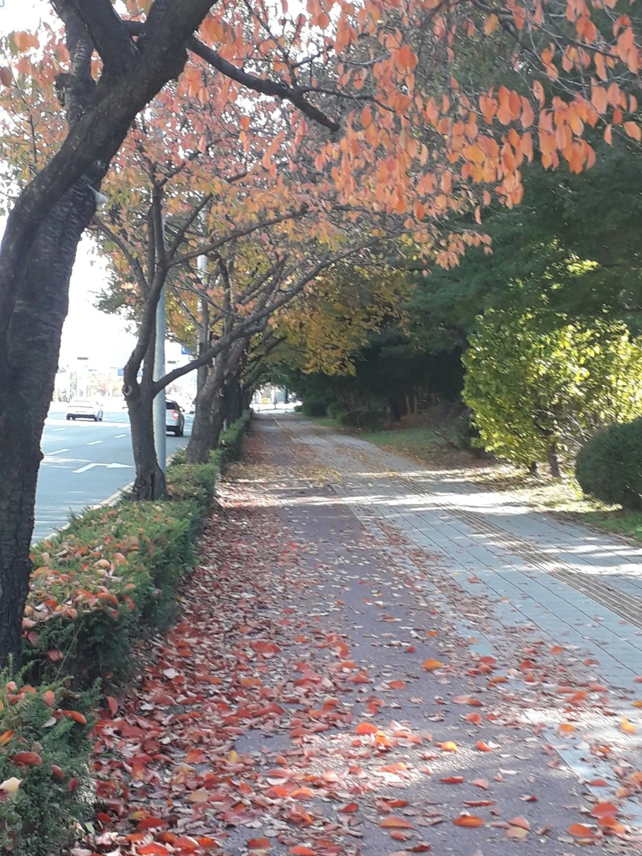 20231029_095933.jpg?type=w1