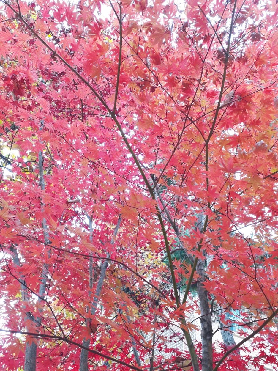 SE-1d04c512-831d-4e24-bfe6-77685d18bc1c.jpg?type=w1