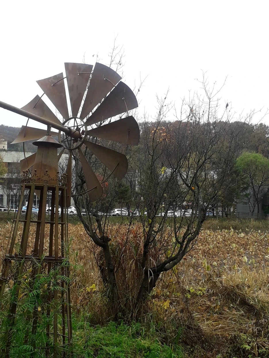 20231105_135146.jpg?type=w1