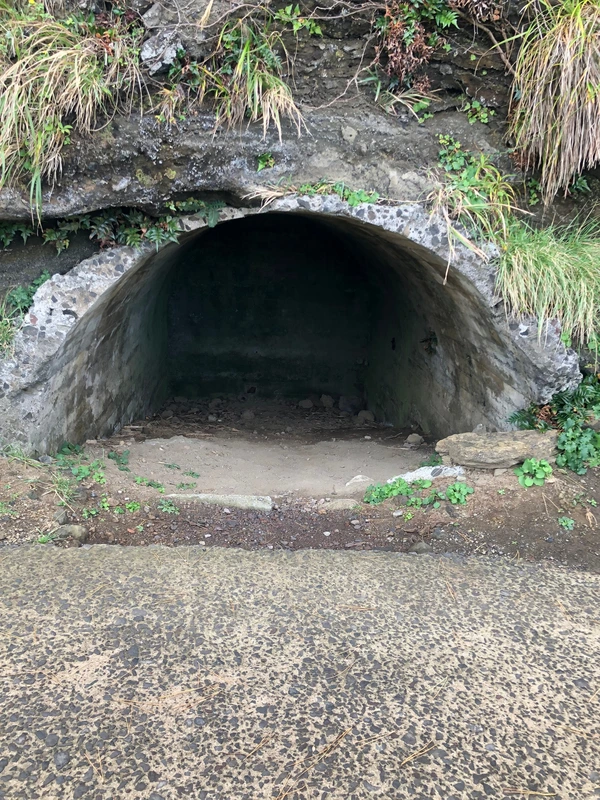 SE-774ff89e-6de5-43f3-8111-8d2ac182f864.jpg?type=w1