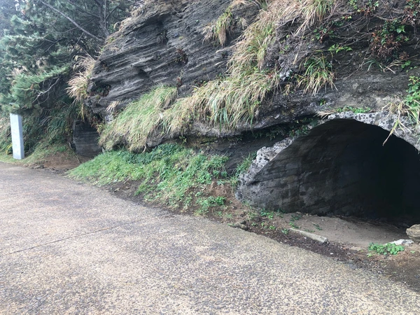 SE-f1189c6f-8146-40c8-8f73-1b70305687d0.jpg?type=w1