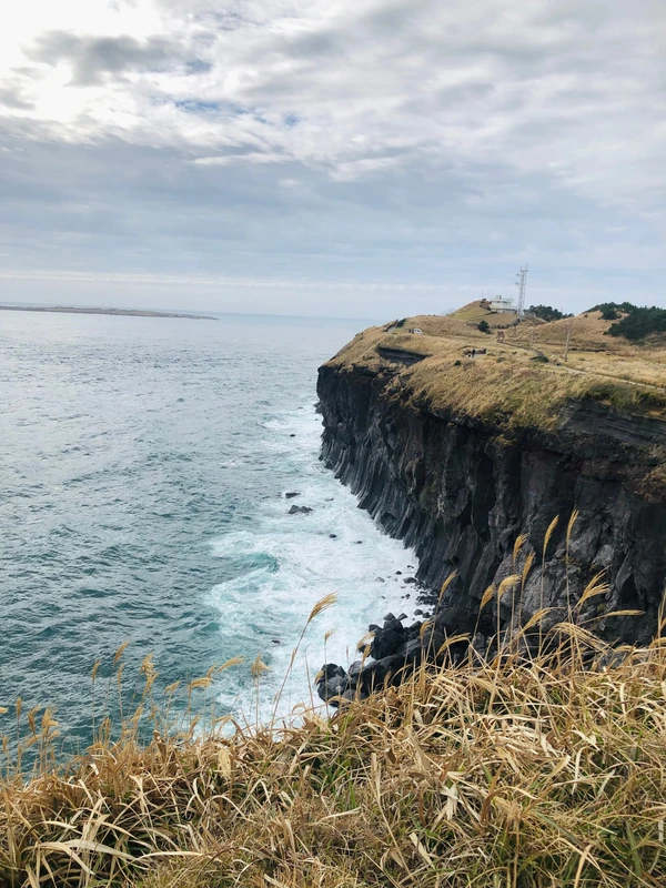 SE-19cfa2eb-d298-4ef9-87ca-a19734333518.jpg?type=w1