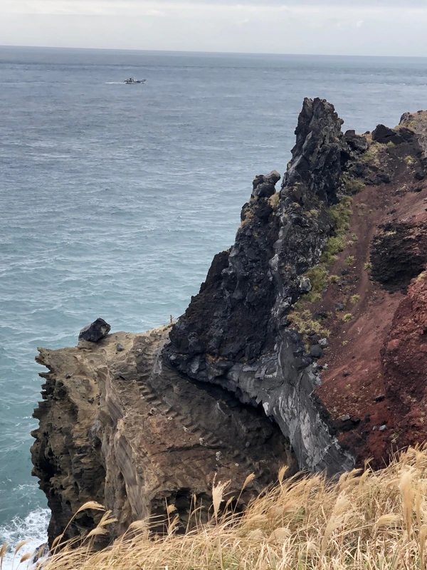 SE-9876a9f8-2200-412b-9da3-9124ac699944.jpg?type=w1