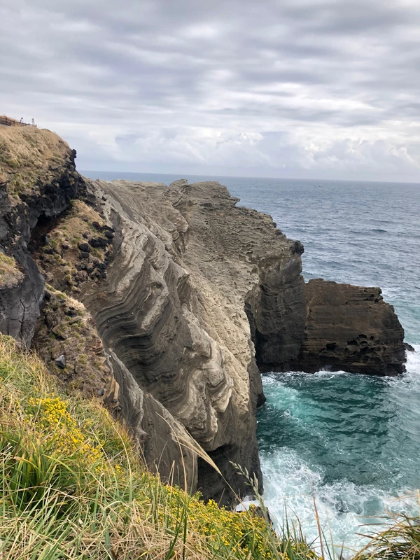 SE-5d23ff3f-002b-4339-bc30-eba11a126ec4.jpg?type=w1