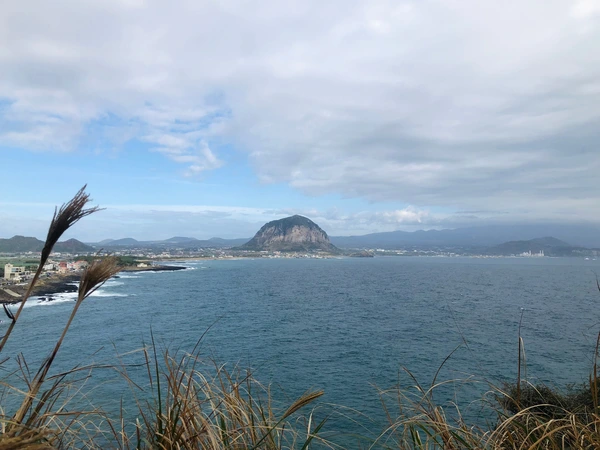 SE-398a7f93-a2eb-488a-b934-86bf689f4325.jpg?type=w1