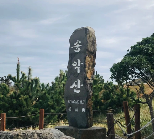 SE-536f0761-82e9-42c1-997a-c65a0d47cded.jpg?type=w1