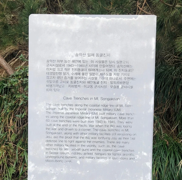 SE-60d7f11b-7e33-48f8-a2da-8585a07722b8.jpg?type=w1