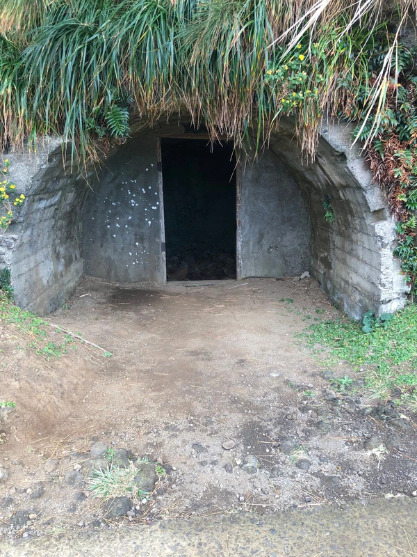 SE-9ee0428b-ede8-474e-8c57-fa95cb9e2843.jpg?type=w1