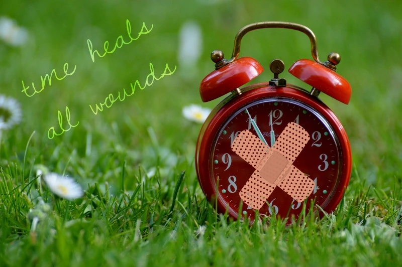 time-heals-all-wounds-1087107_1920.jpg?type=w800